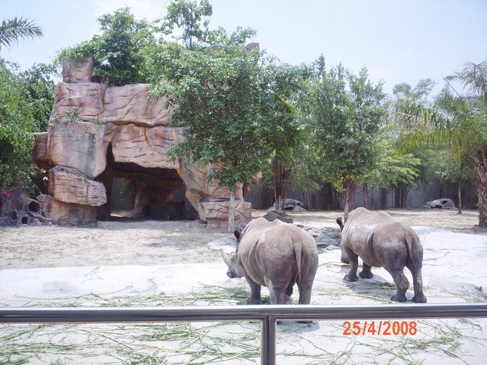 Kien Truc Canh Quan Binh Duong 8 (23)